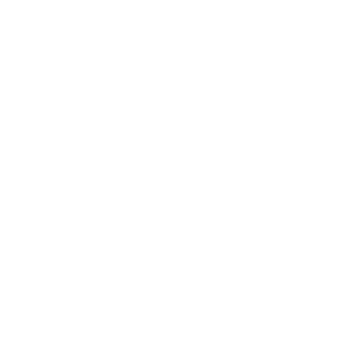 TroelsTheTopgun's emblem