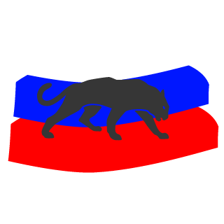 NikitaDJ_DK's emblem