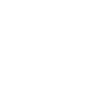 SeaEagle2017's emblem