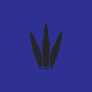 100TerraComCNH's emblem