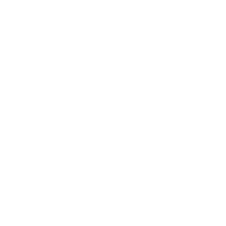 ErikinhoPlays's emblem