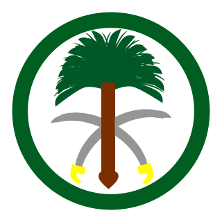 N99Y9_'s emblem