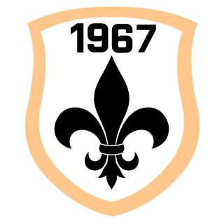 R0b1nnn's emblem