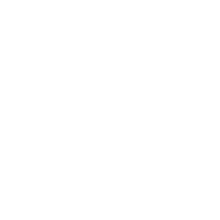 BajoFalcon's emblem