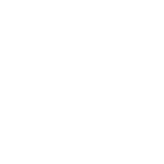 DAY1 x DR33ZY's emblem