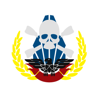 Bogdan_Steam's emblem