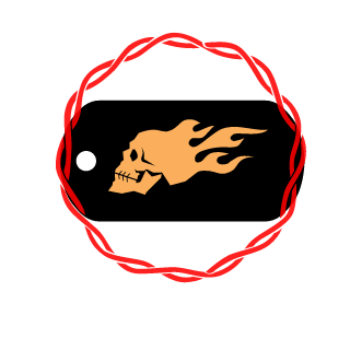 USS Valkirie's emblem