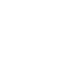 DmisloZ's emblem