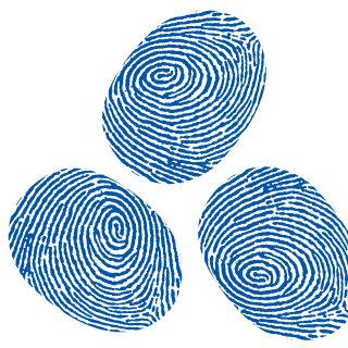 PolarChips's emblem