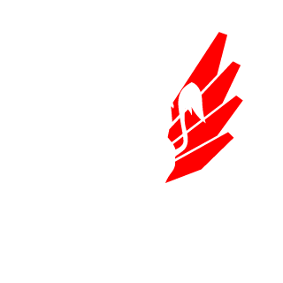 NotSimone's emblem