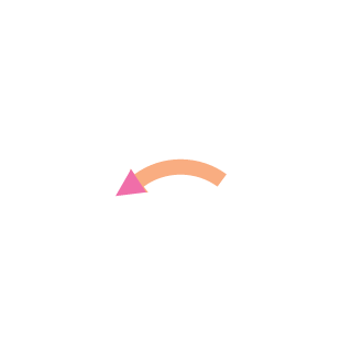 biamaster's emblem