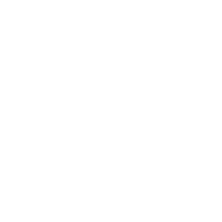 Bez_Berserkir's emblem