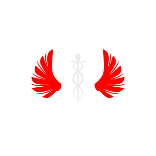 lksmeg's emblem