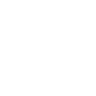 SMAE80's emblem