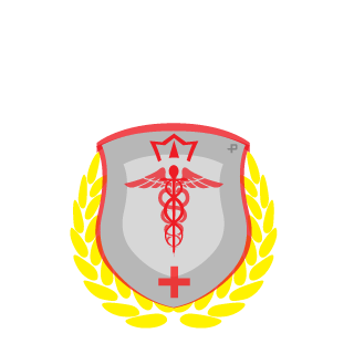 ggLyzz's emblem