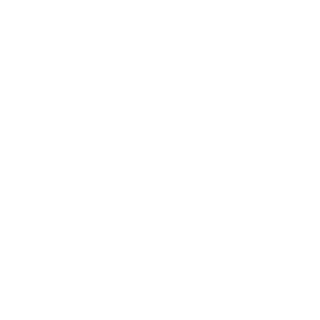 HongDat's emblem