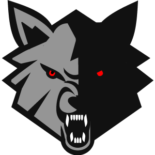 BlackInBlurry's emblem