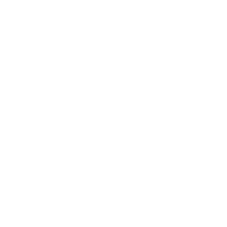 ProbIem's emblem