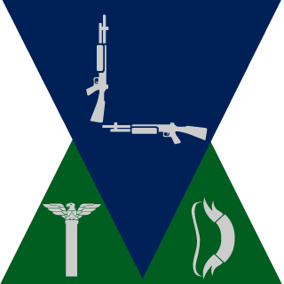 LUKE_THE_RAMMR's emblem