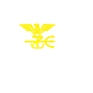 TheRealBruno99's emblem