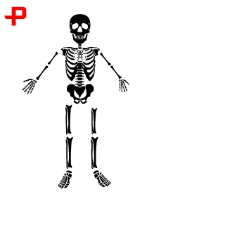 ROMANSIMI's emblem