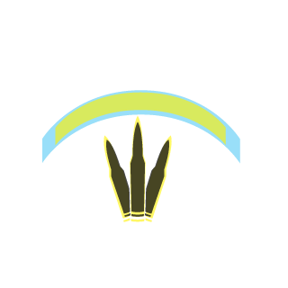 OIFRIENDLYFIRE's emblem