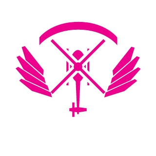 QBZ93's emblem