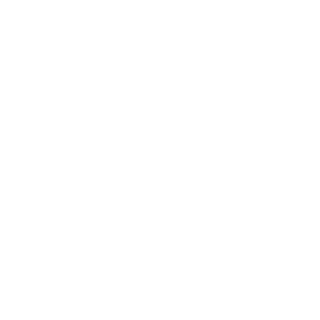 fdse13ru's emblem