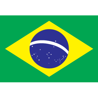 rafsilva97's emblem