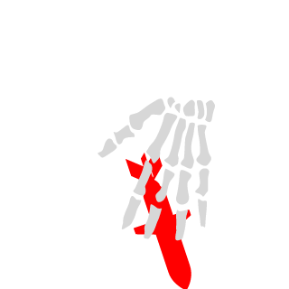 MahoganyChair's emblem