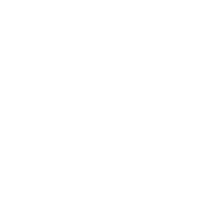 LENOVO-PLAYERONE's emblem