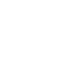 Mr_AlucardOo's emblem