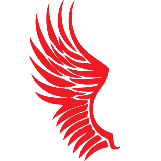 AliDemir1984's emblem