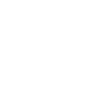 b9ris's emblem