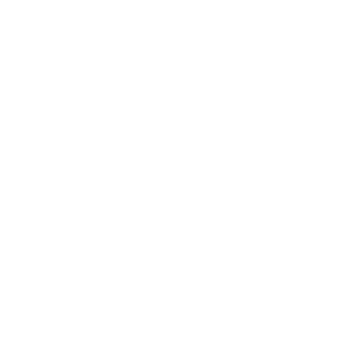 civick51's emblem