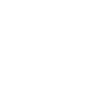 -Solar-Boralis-'s emblem