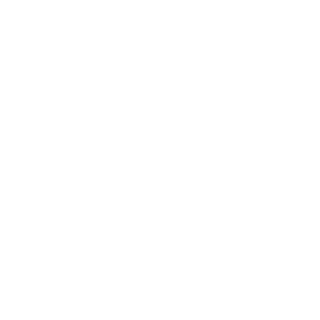 superte12's emblem