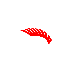 Strik4r22's emblem