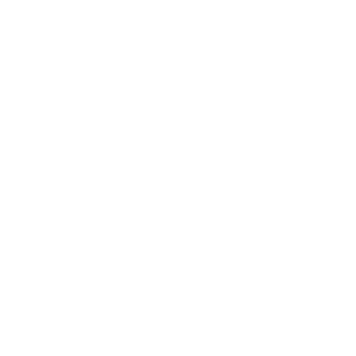 NLarmy's emblem