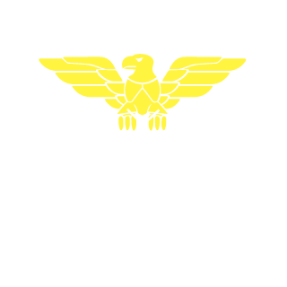 flappypenguin69's emblem