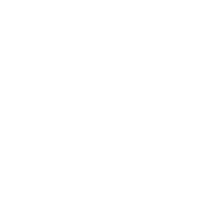 leonid_07_31's emblem