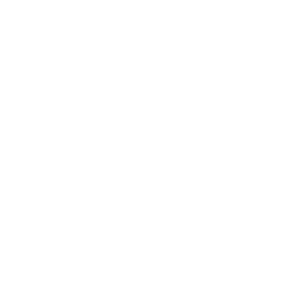 ResistImpulse's emblem