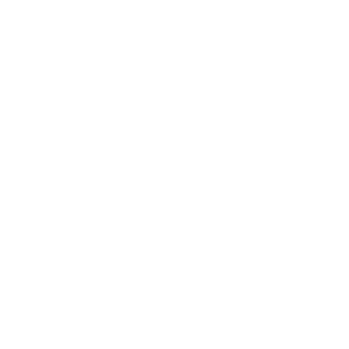 Dutcharmy2015's emblem