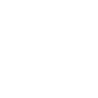 huangzhuxin's emblem