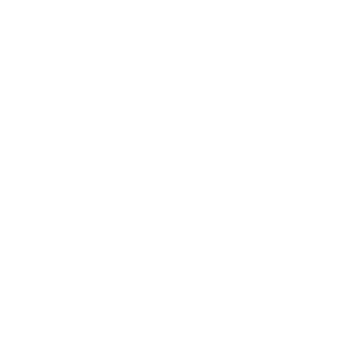 SrLegsini360's emblem