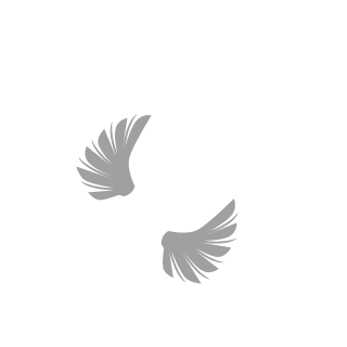 Schlonk Brigade's emblem