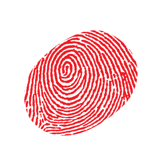 Duixi's emblem