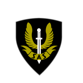 savik1337's emblem
