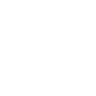 Ninjalow's emblem