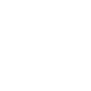 22proICEpro22's emblem
